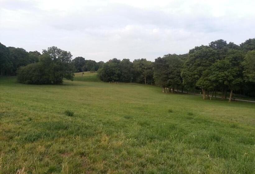 酒店 Gasthof Gerhart