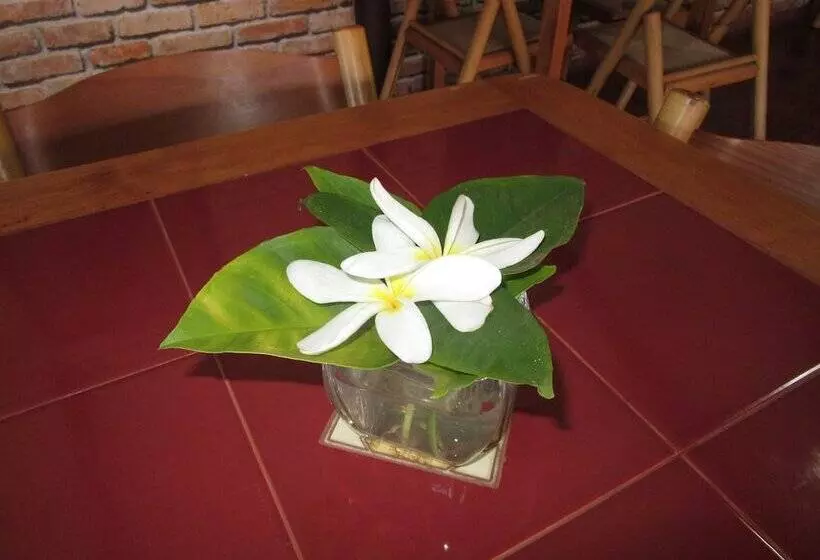 ホテル Mataveri Inn