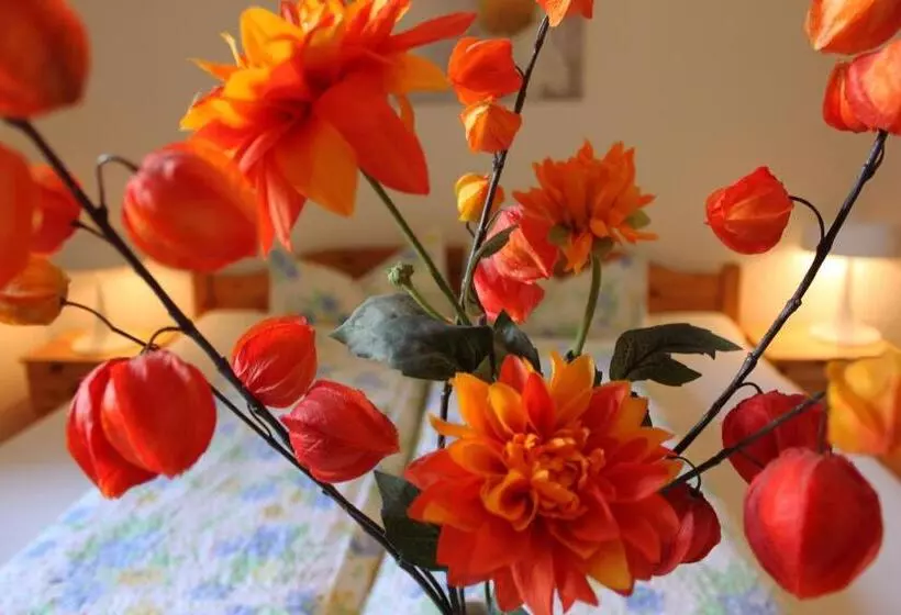 Pension Stoi Budget Guesthouse