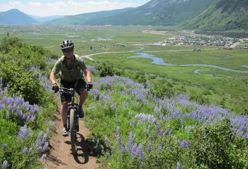 Purple Mountain Bed & Breakfast & Spa