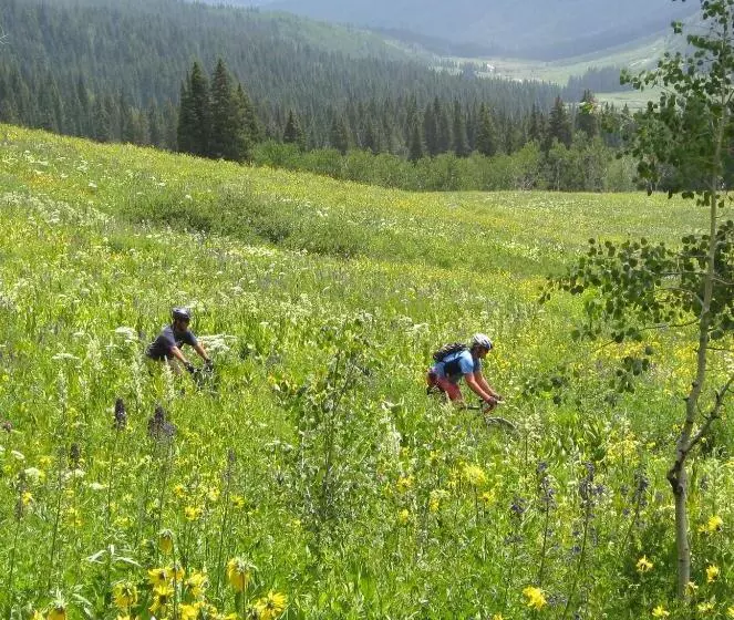 Purple Mountain Bed & Breakfast & Spa