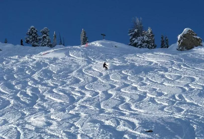 Purple Mountain Bed & Breakfast & Spa