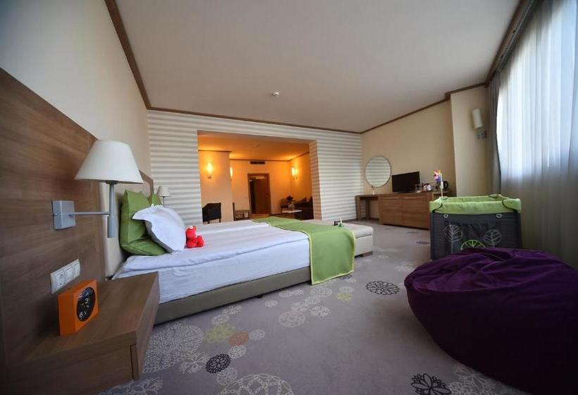 Hotel Suite  Sofia
