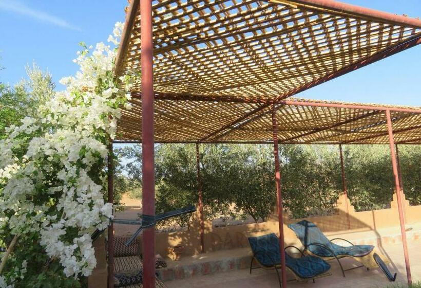 민박 Dar Nzaha Zagora