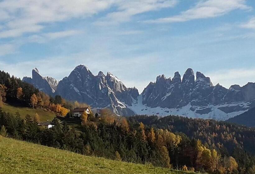 تختخواب و صبحانه Mountain Residence Alpenhof Company Hotel Alpenhof Kg Sas Der Gasser Renate