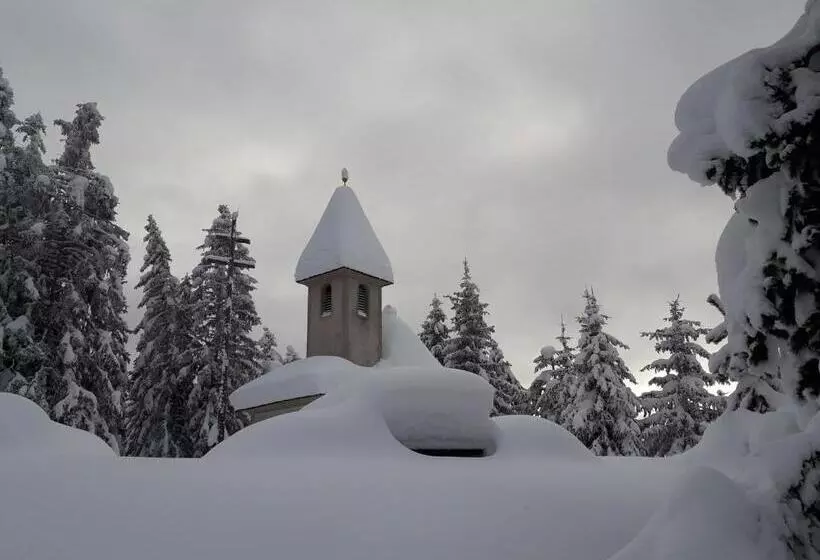 Aamiaismajoitus (B&B) Mountain Residence Alpenhof   Company Hotel Alpenhof Kg Sas Der Gasser Renate