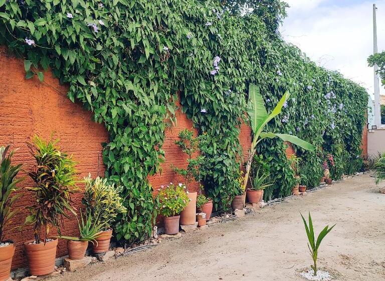 פנסיון Suítes De Ventto Em Popa   São Miguel Do Gostso