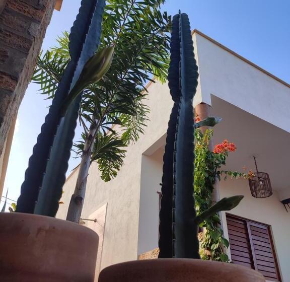 פנסיון Suítes De Ventto Em Popa   São Miguel Do Gostso