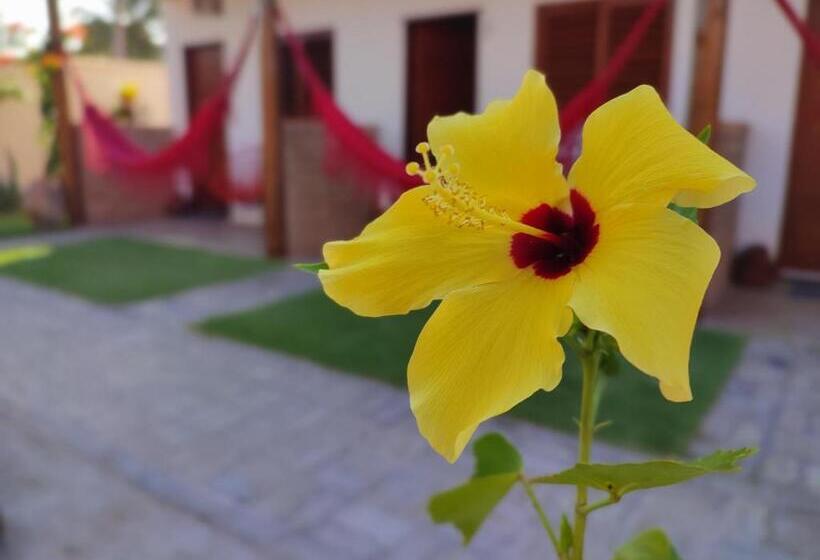 פנסיון Suítes De Ventto Em Popa   São Miguel Do Gostso