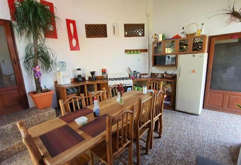 پانسیون Hostal Blood Moon