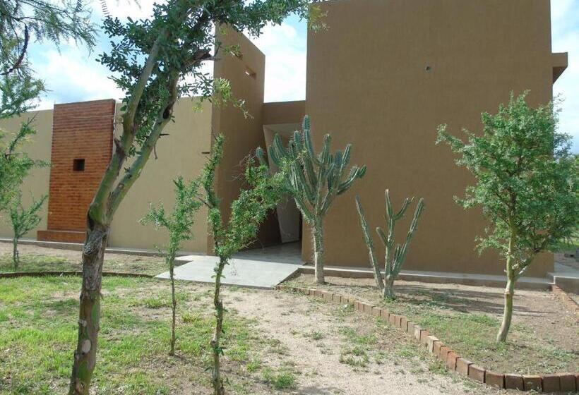 הוסטל Bella Luna Posada & Suite