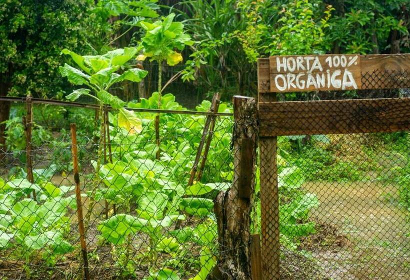 Bed and Breakfast Hayway Sustentável