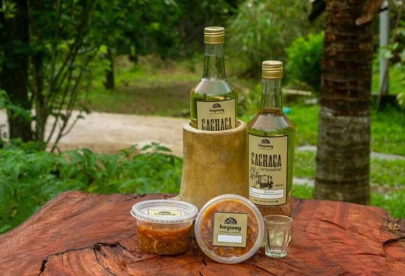 Bed and Breakfast Hayway Sustentável