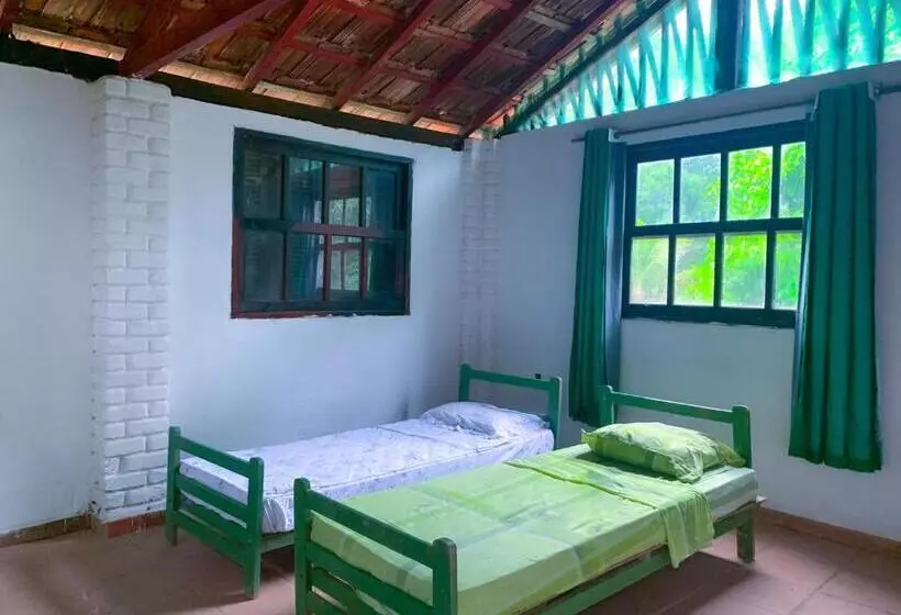 ベッドアンドブレックファースト Hayway Sustentável