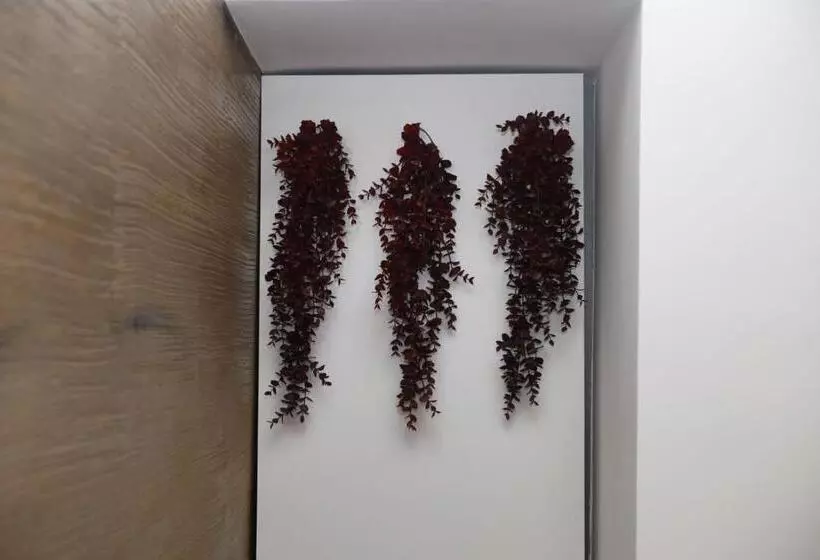 Aamiaismajoitus (B&B) Nel Vicoletto