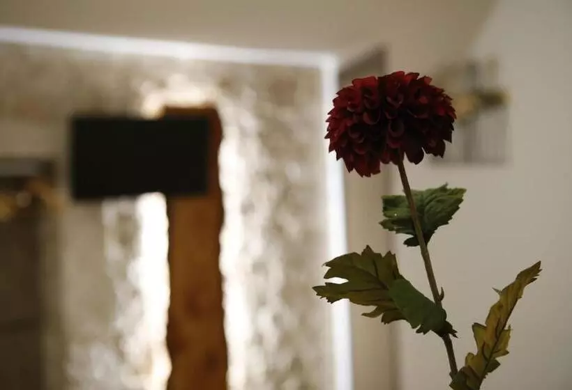 Aamiaismajoitus (B&B) Nel Vicoletto