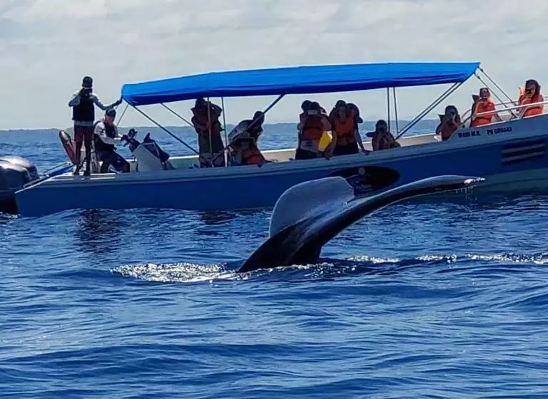 Majatalo Luminosa Uvita Hostel