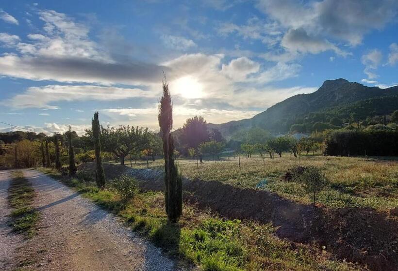 פנסיון Mon Coin De Provence Petit Déjeuner Offert