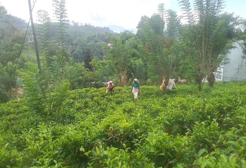 ペンション Talblick Homestay Ella