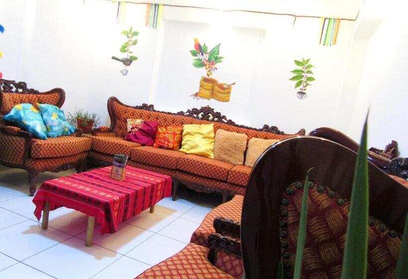 بنسيون The Andean Rooftop Guesthouse