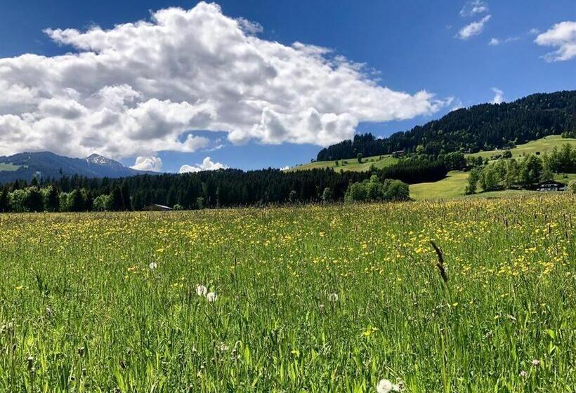 Pension Heidelberg   Fam Fuchs