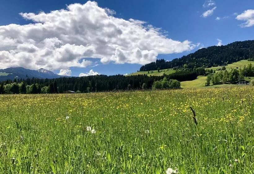 Pension Heidelberg   Fam Fuchs