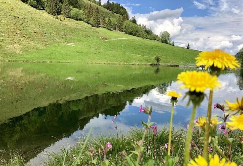 Pension Heidelberg   Fam Fuchs