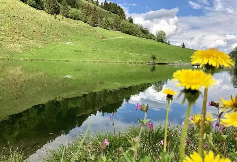 Pension Heidelberg   Fam Fuchs