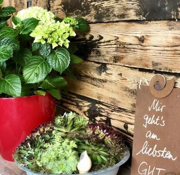 Pension Heidelberg   Fam Fuchs