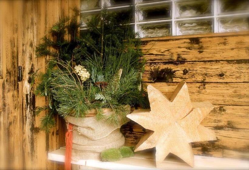 Pension Heidelberg   Fam Fuchs