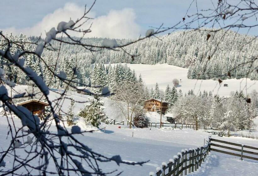 Pension Heidelberg   Fam Fuchs