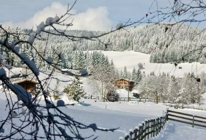 Pension Heidelberg   Fam Fuchs