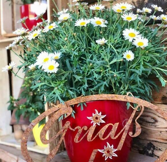 Pension Heidelberg   Fam Fuchs