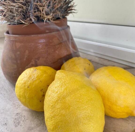 Villa Cecilia Bed And Breakfast