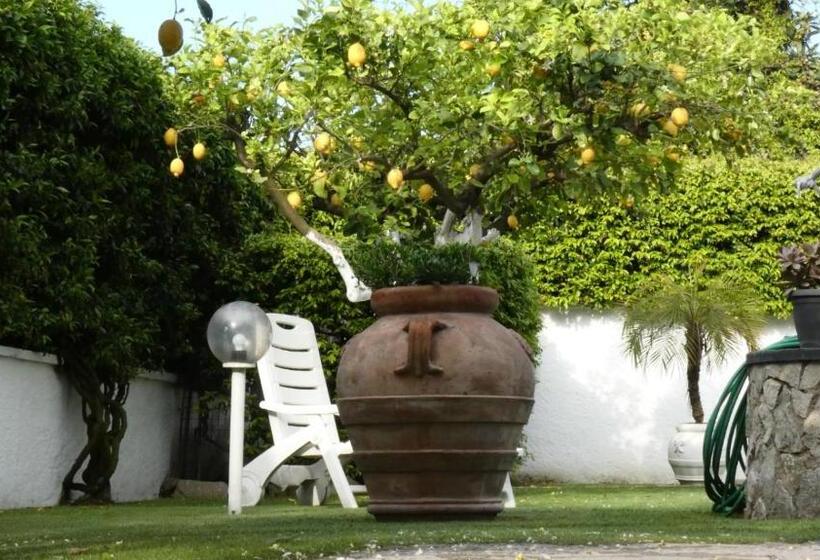 Villa Cecilia Bed And Breakfast