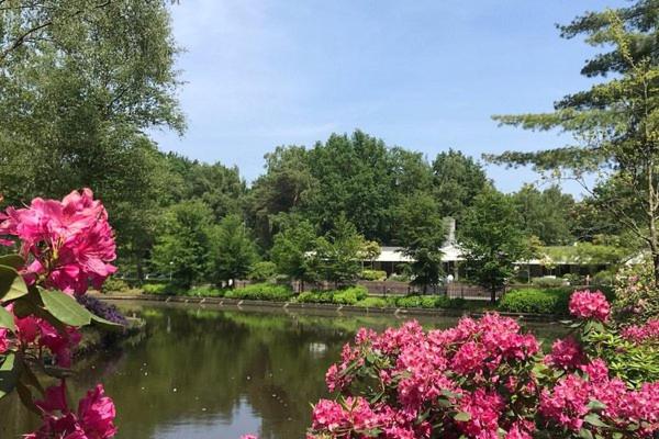 住宿加早餐  Chalet Heggemus Oisterwijk