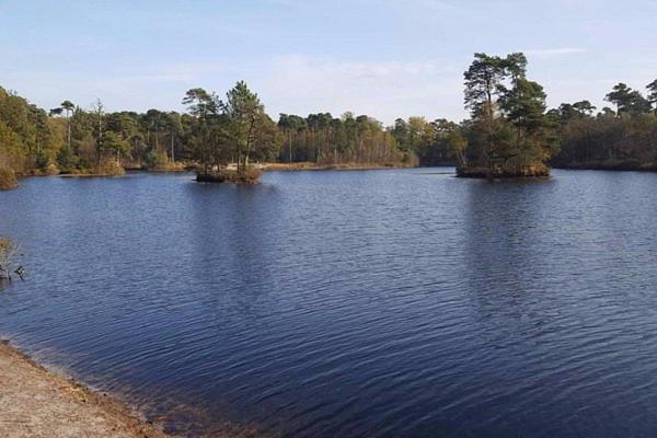 住宿加早餐  Chalet Heggemus Oisterwijk