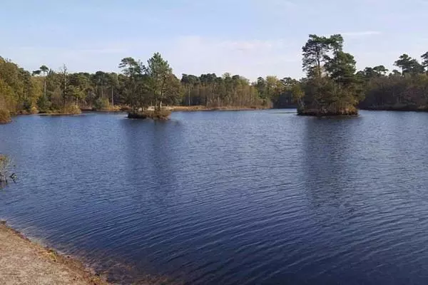 Aamiaismajoitus (B&B) Chalet Heggemus Oisterwijk