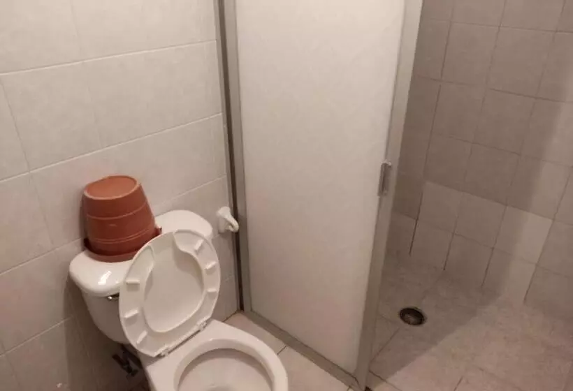 هتل Tivoli