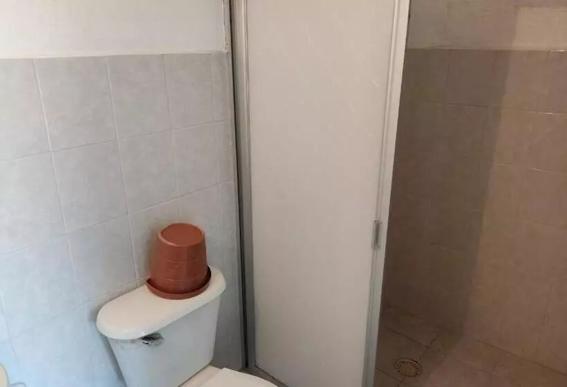 هتل Tivoli