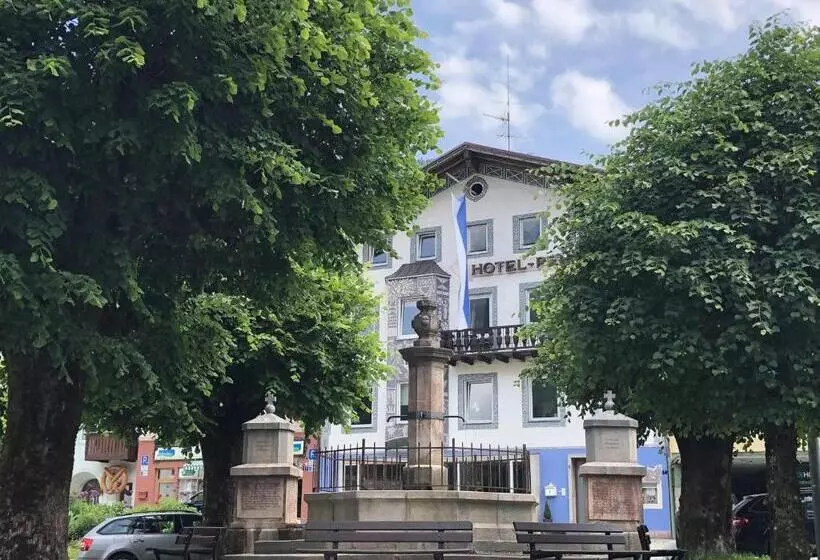 Pension Und Ferienwohnung Frech