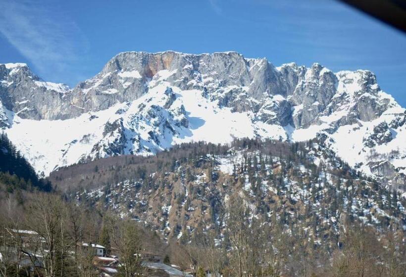 Pension Und Ferienwohnung Frech