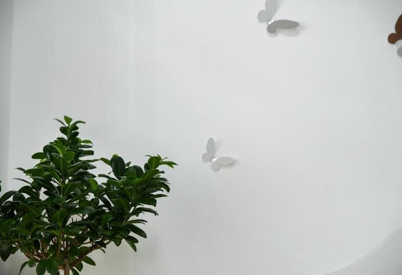 Bed and Breakfast Athena