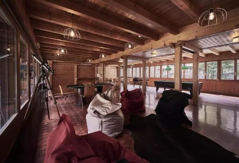 Alpine Base Hostel   Adults Only