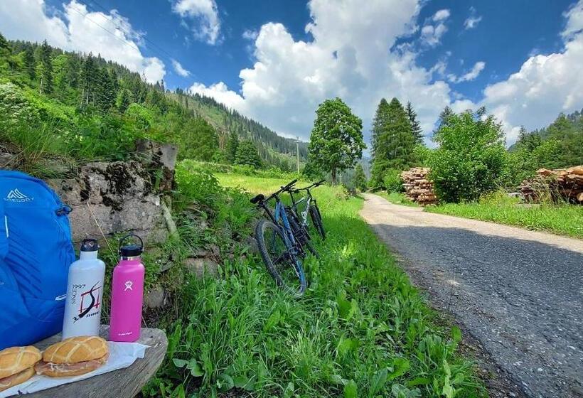 B&b B&beautyfol Dolomites Adults Only