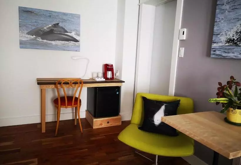 Aamiaismajoitus (B&B) Au Cachalot Caché Le Gîte Hôtel