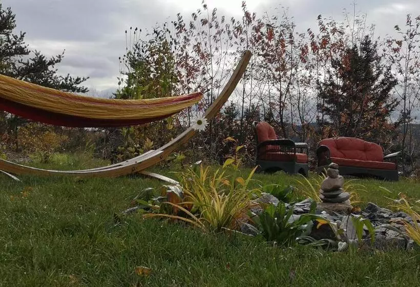 Aamiaismajoitus (B&B) Au Cachalot Caché Le Gîte Hôtel