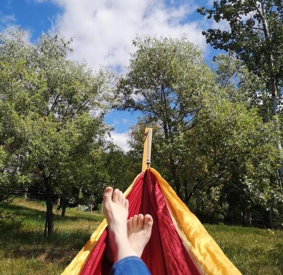 Bed and Breakfast Au Cachalot Caché Le Gîte Hôtel