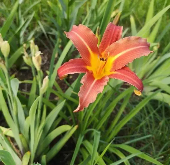 Aamiaismajoitus (B&B) Au Cachalot Caché Le Gîte Hôtel