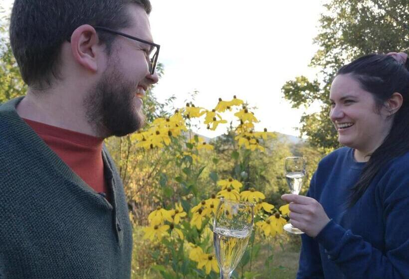 Bed and Breakfast Au Cachalot Caché Le Gîte Hôtel